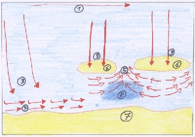 Strömungsformen an der Küste; Zeichnung: M. Fisch